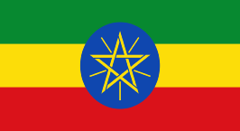 amharic1